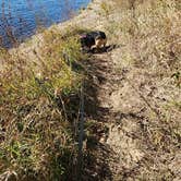 Review photo of Potowatomi Campground — Kankakee River State Park by Nicole K., November 2, 2025