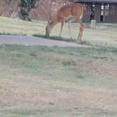 Review photo of Bluffton Area — Cedar Bluff State Park by Liz C., August 10, 2025