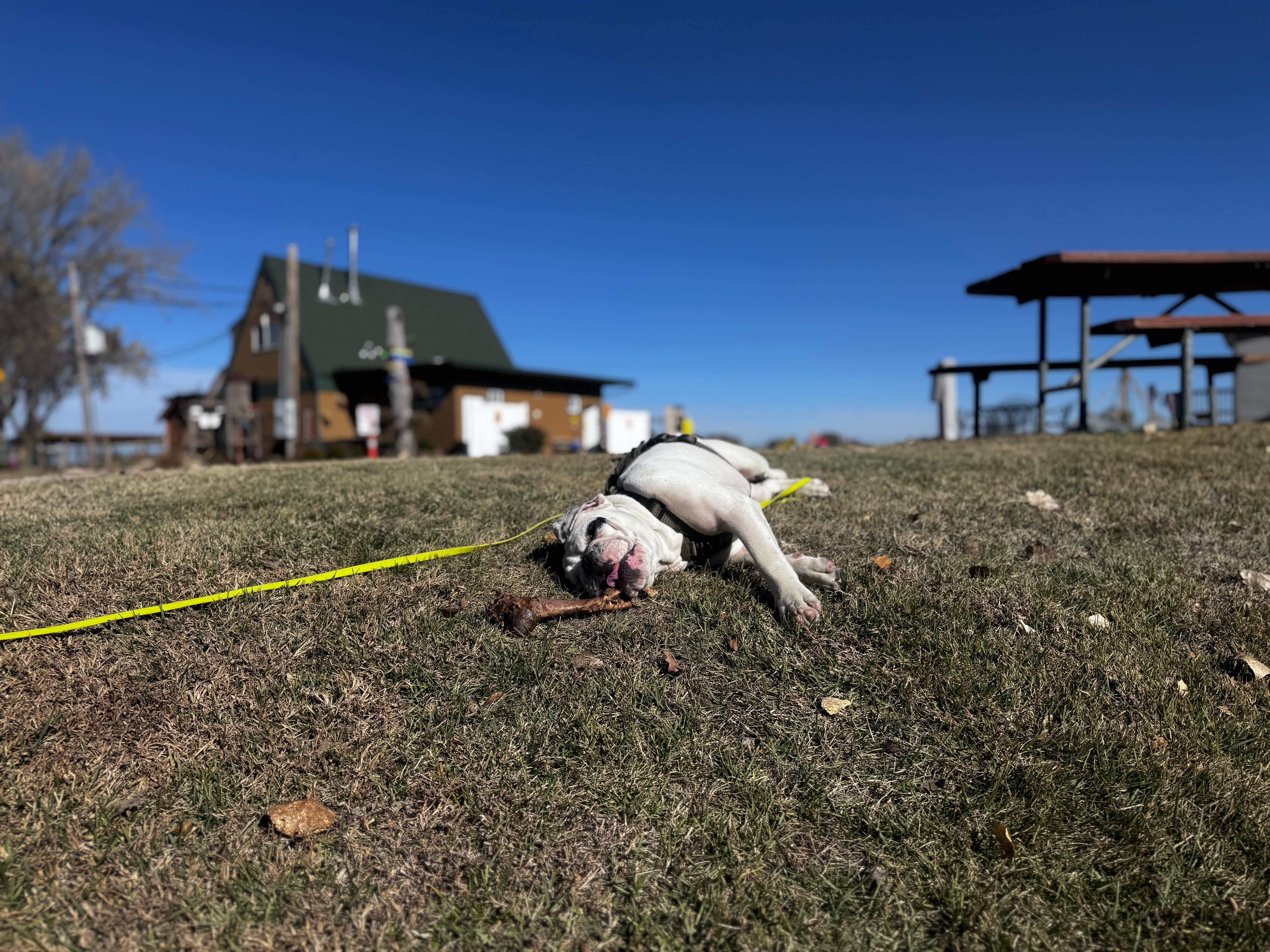 Camper-submitted photo at Kansas City West-Lawrence KOA near Olathe, KS