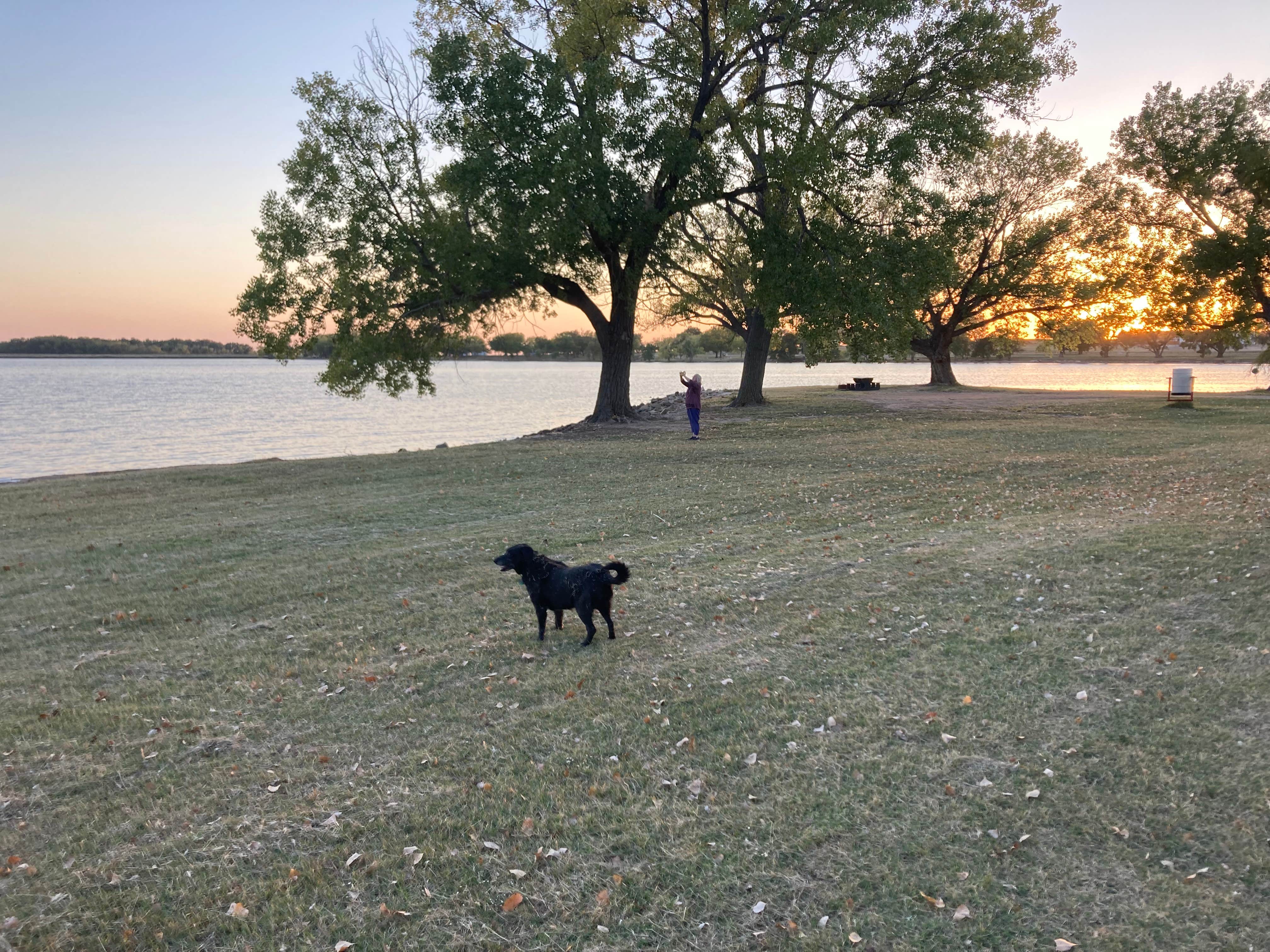Larry F.'s photo of camping with pets at Coldwater Lake near Medicine Lodge, KS