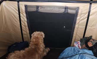 Dane J.'s photo of camping with pets at Ellis Lakeside Campground near Ransom, KS