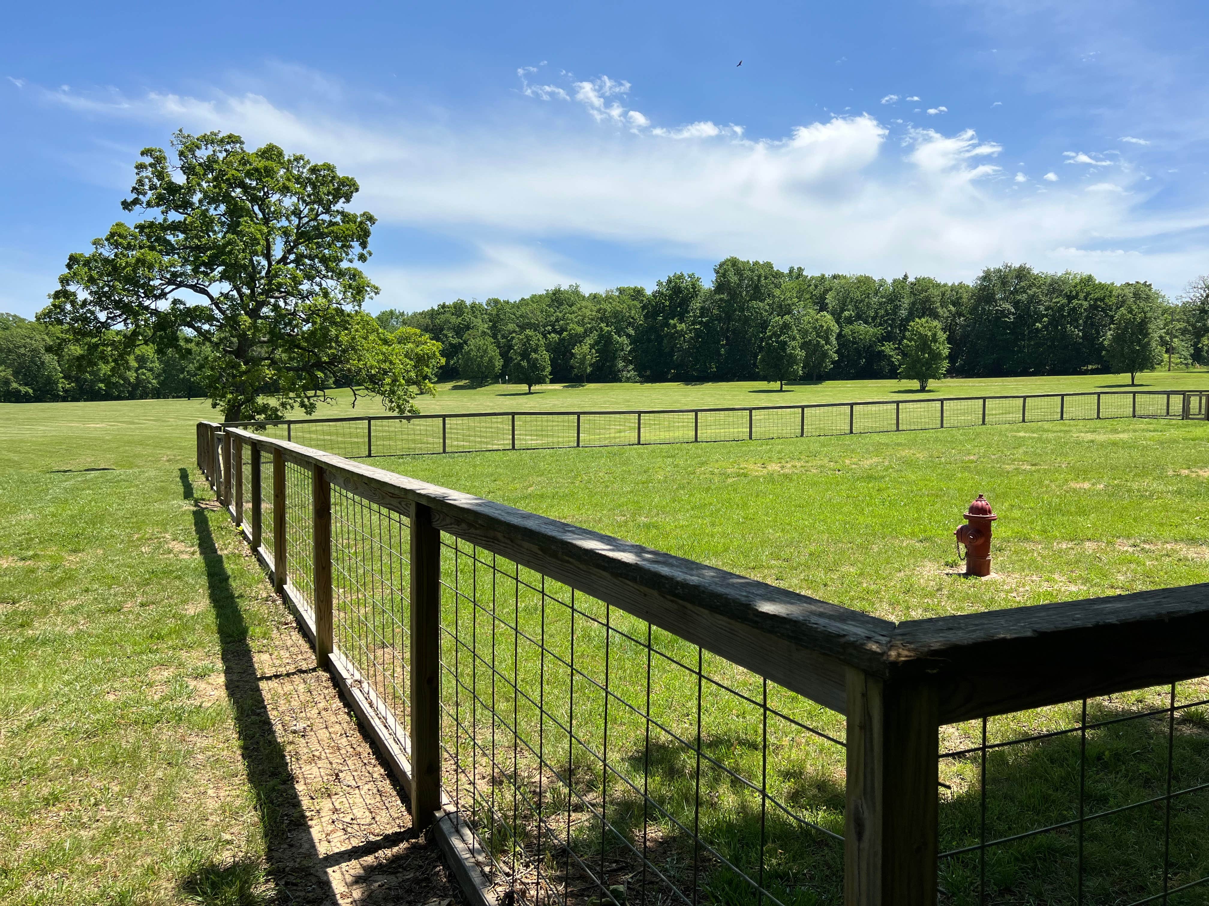 Camper-submitted photo at Gunn Park near Fort Scott, KS