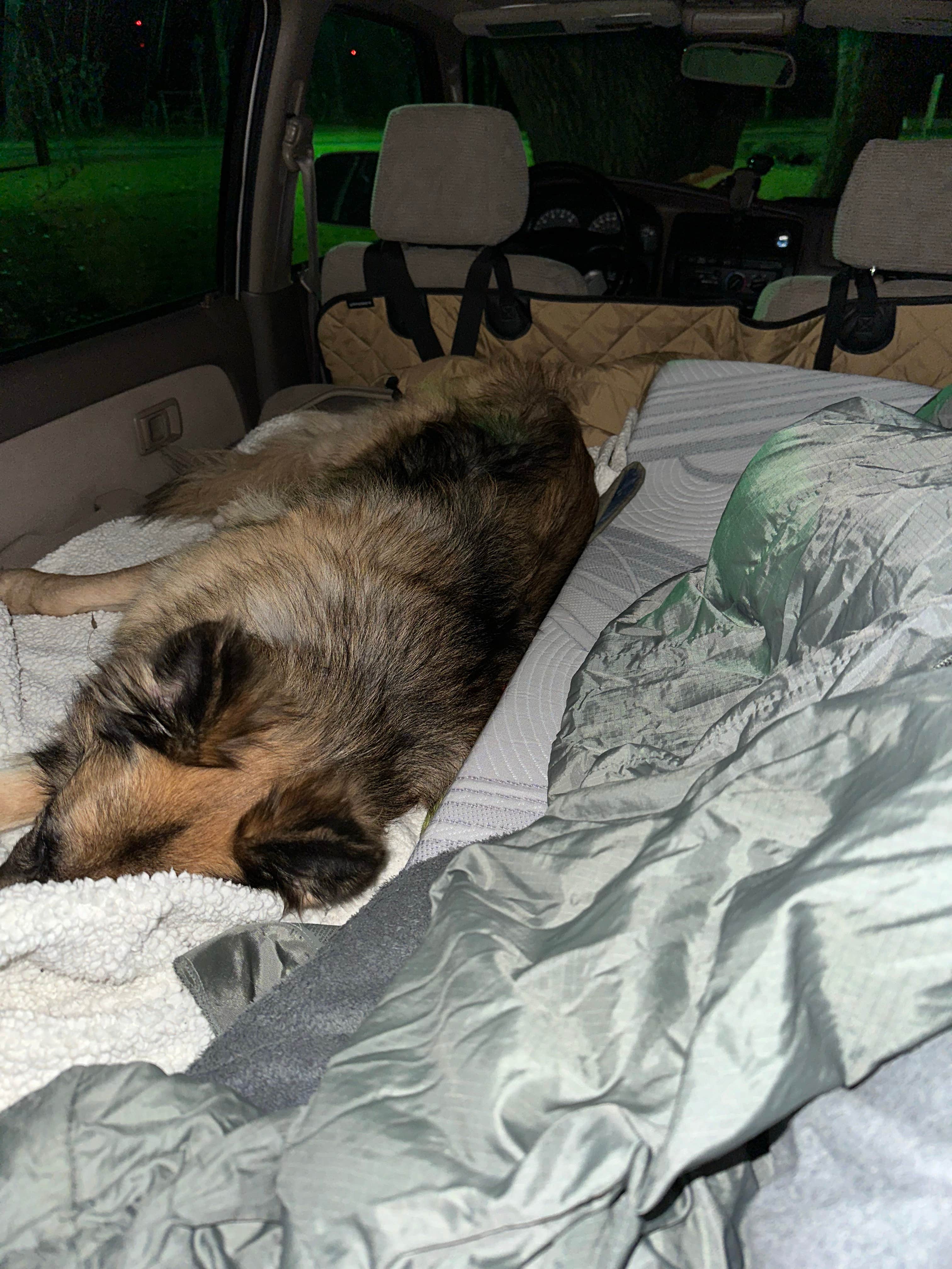 Camper-submitted photo at Meade City Park near Wright, KS