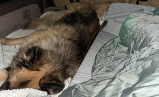Will R.'s photo of camping with pets at Meade City Park near Dodge City, KS