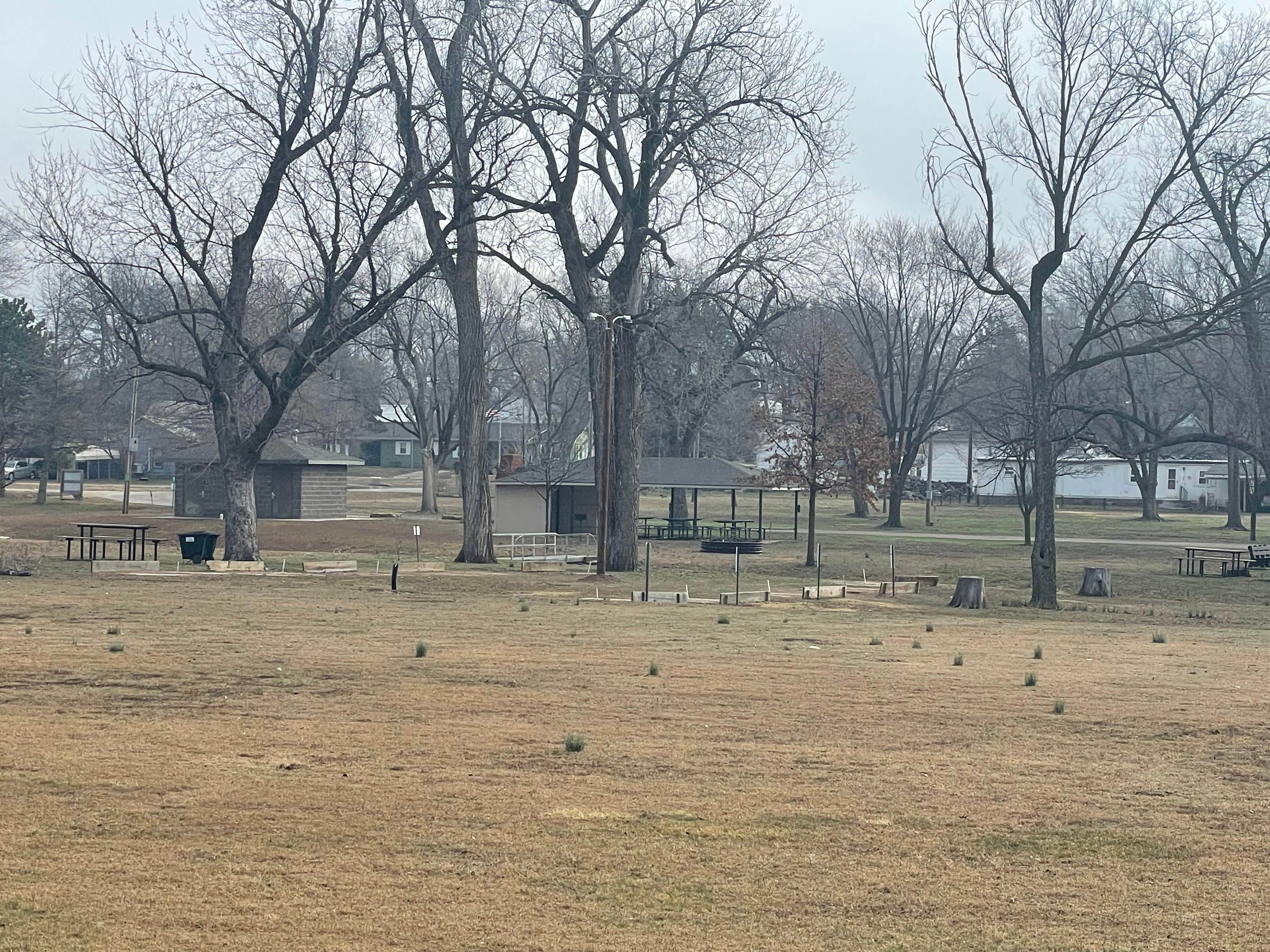 Camper submitted image from Napawalla Park - 3