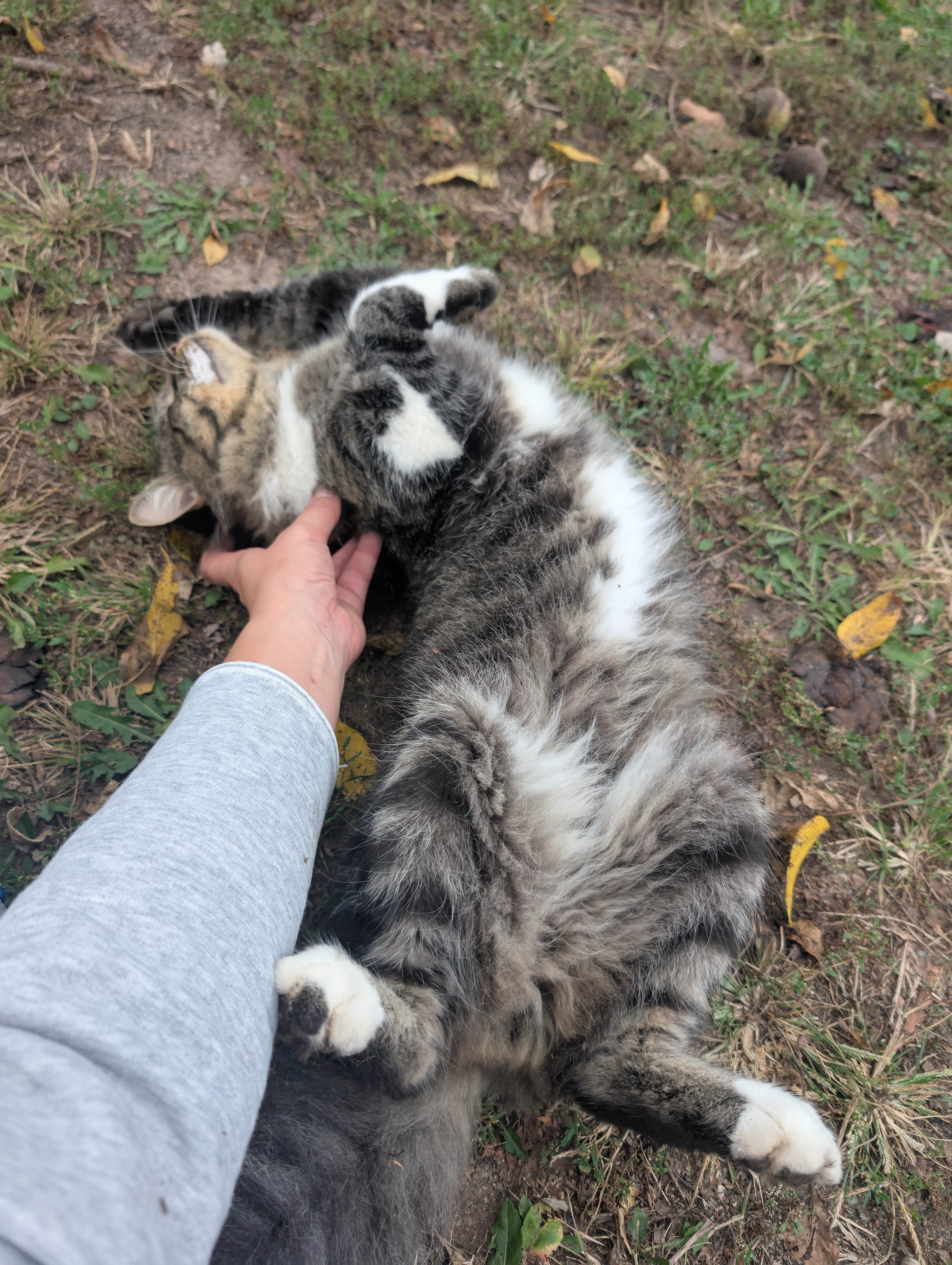 Heidi S.'s photo of camping with pets at Napawalla Park near Augusta, KS
