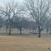 Review photo of Napawalla Park by 2 B., March 2, 2024