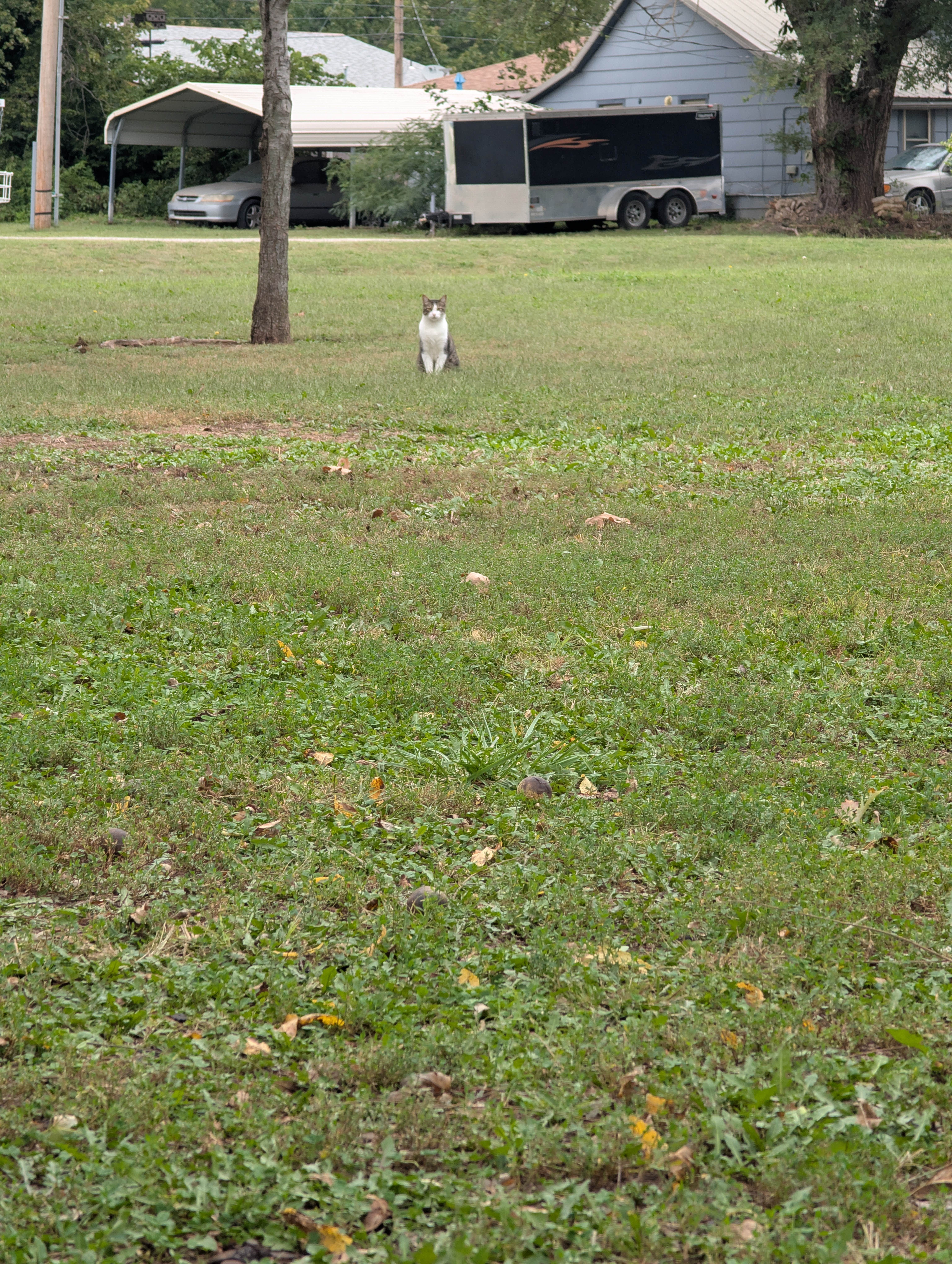 Heidi S.'s photo of camping with pets at Napawalla Park near Derby, KS