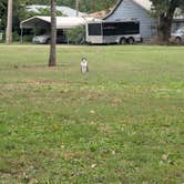Review photo of Napawalla Park by Heidi S., October 8, 2025