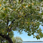 Review photo of Pomona State Park Campground by christy W., August 22, 2026