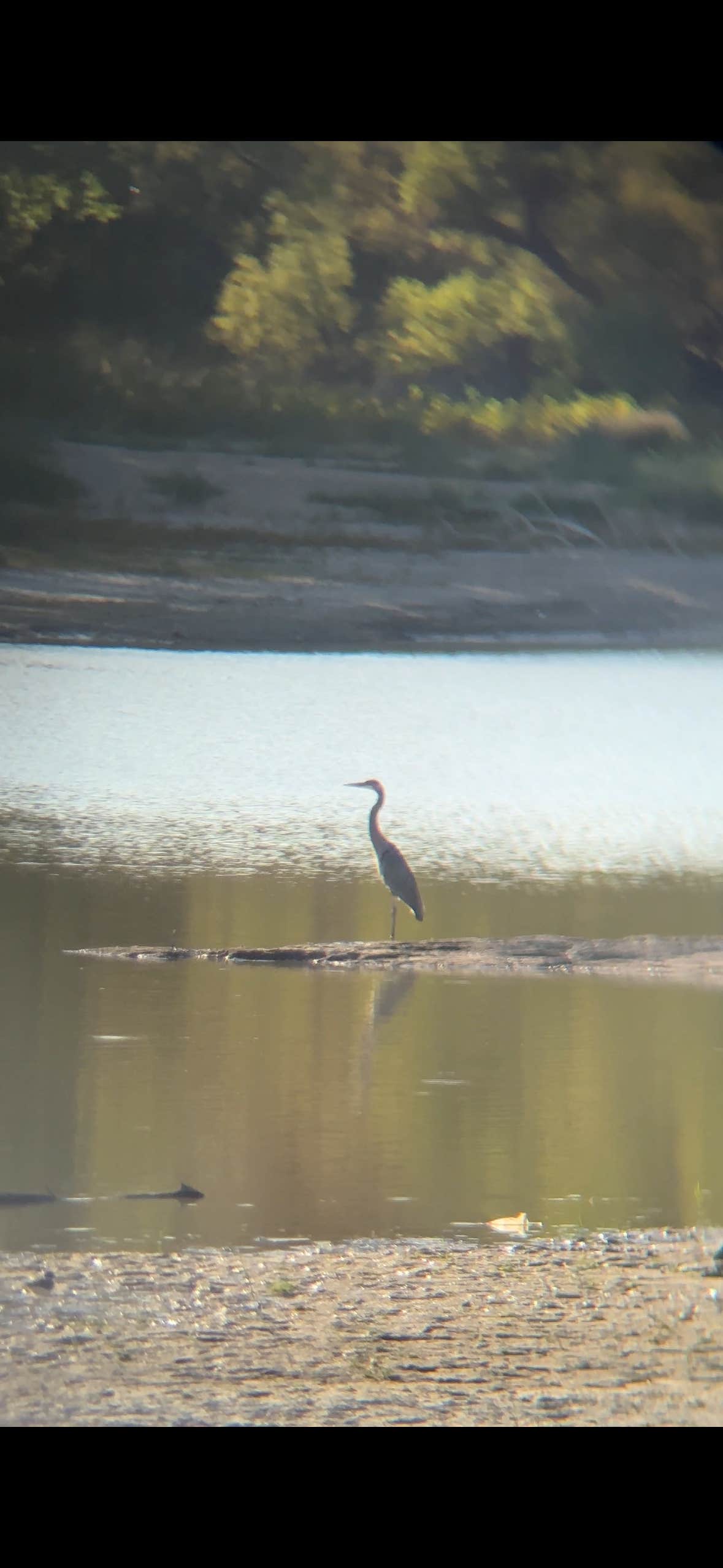 Camper submitted image from Sheridan State Fishing Lake - 5