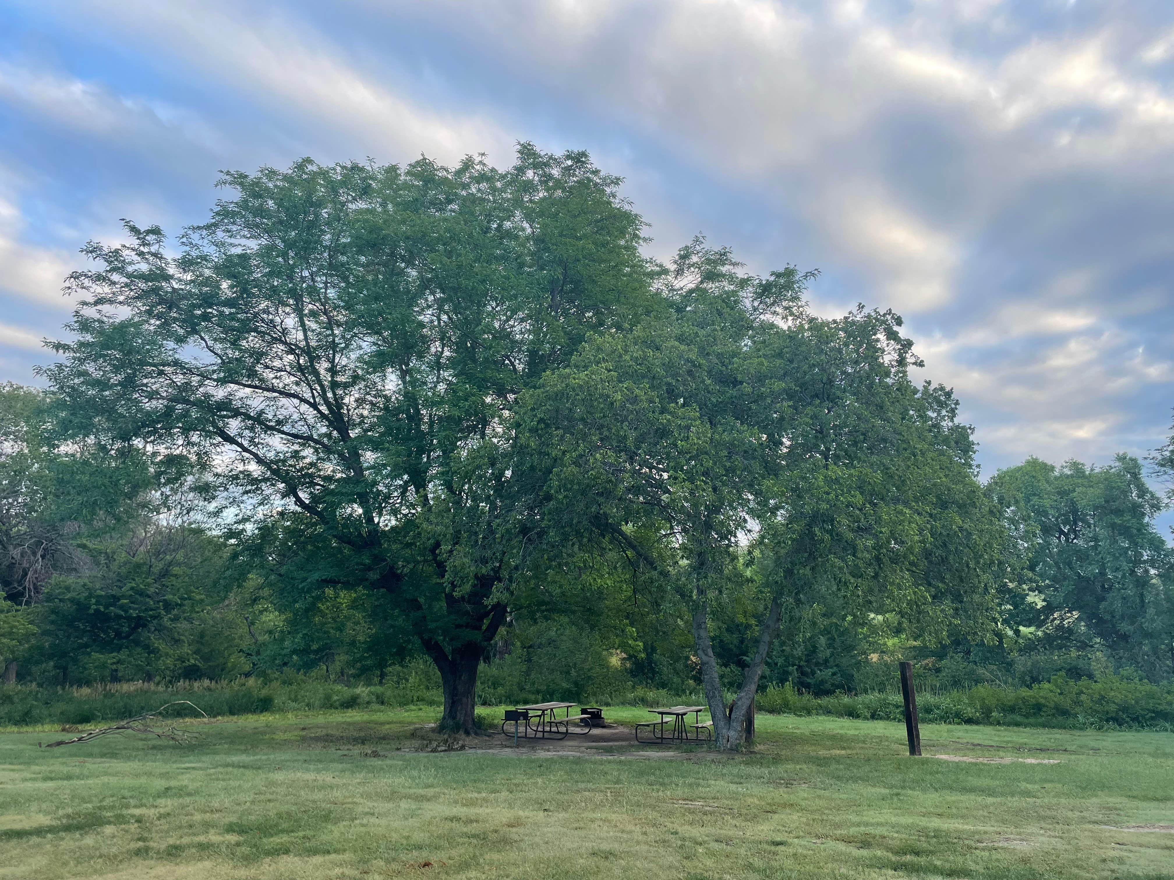 Camper-submitted photo at Timber Canyon Campground — Historic Lake Scott State Park near Scott City, KS