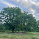 Review photo of Timber Canyon - Scott State Park by Katie L., July 2, 2024