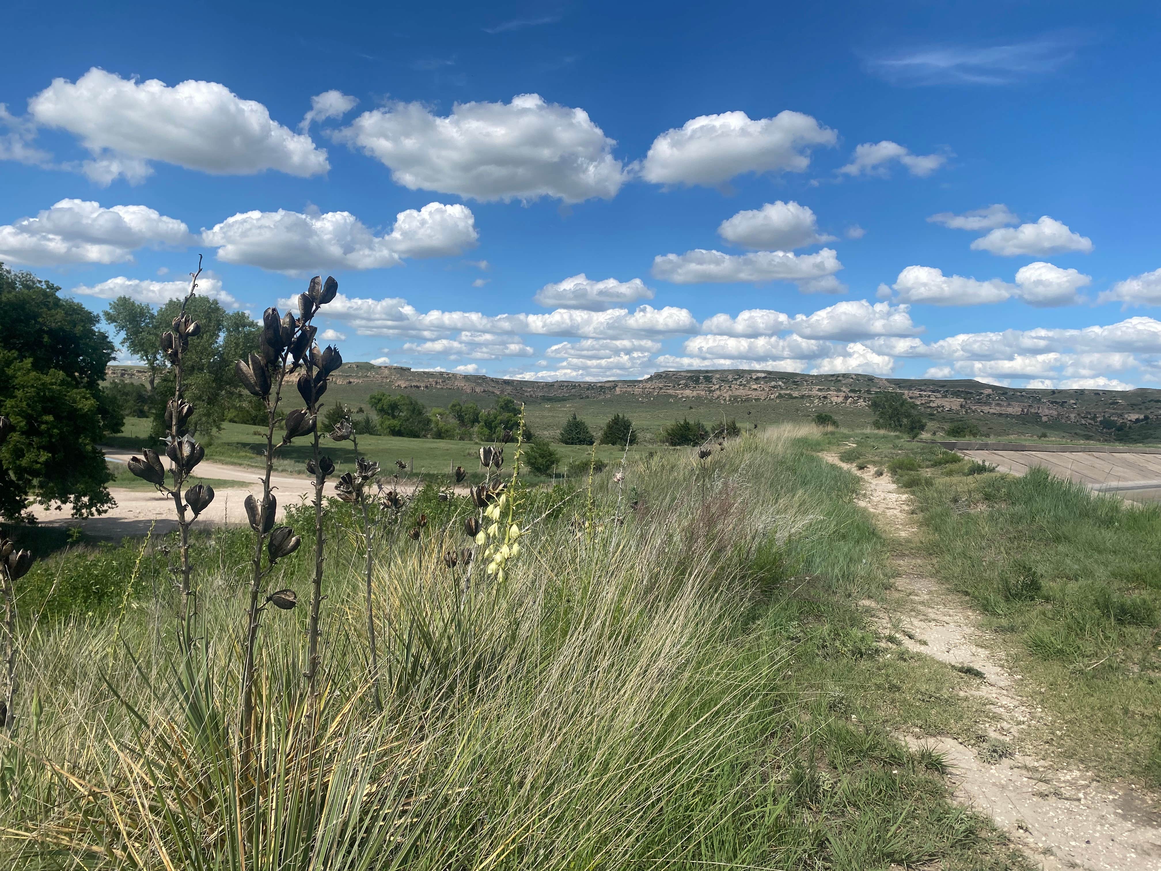 Camper submitted image from Timber Canyon - Scott State Park - 5