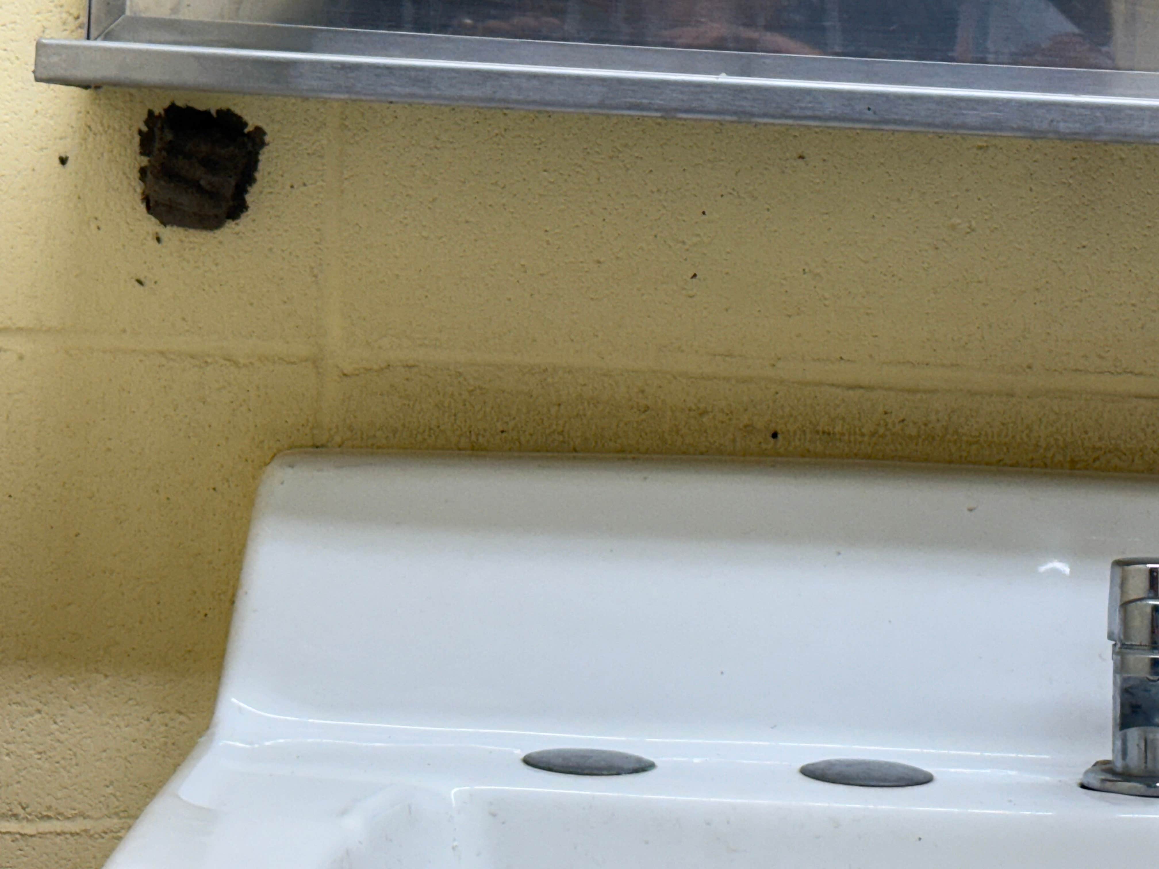 Camper-submitted photo at Walnut River Area — El Dorado State Park near Burrton, KS