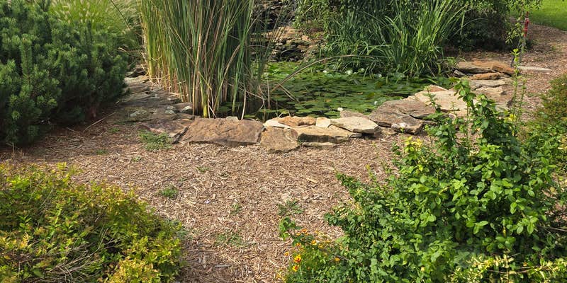 Camper submitted image from Warnock Lake Park