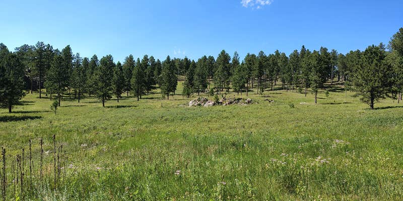 Camper submitted image from Kara T. Mason,TN