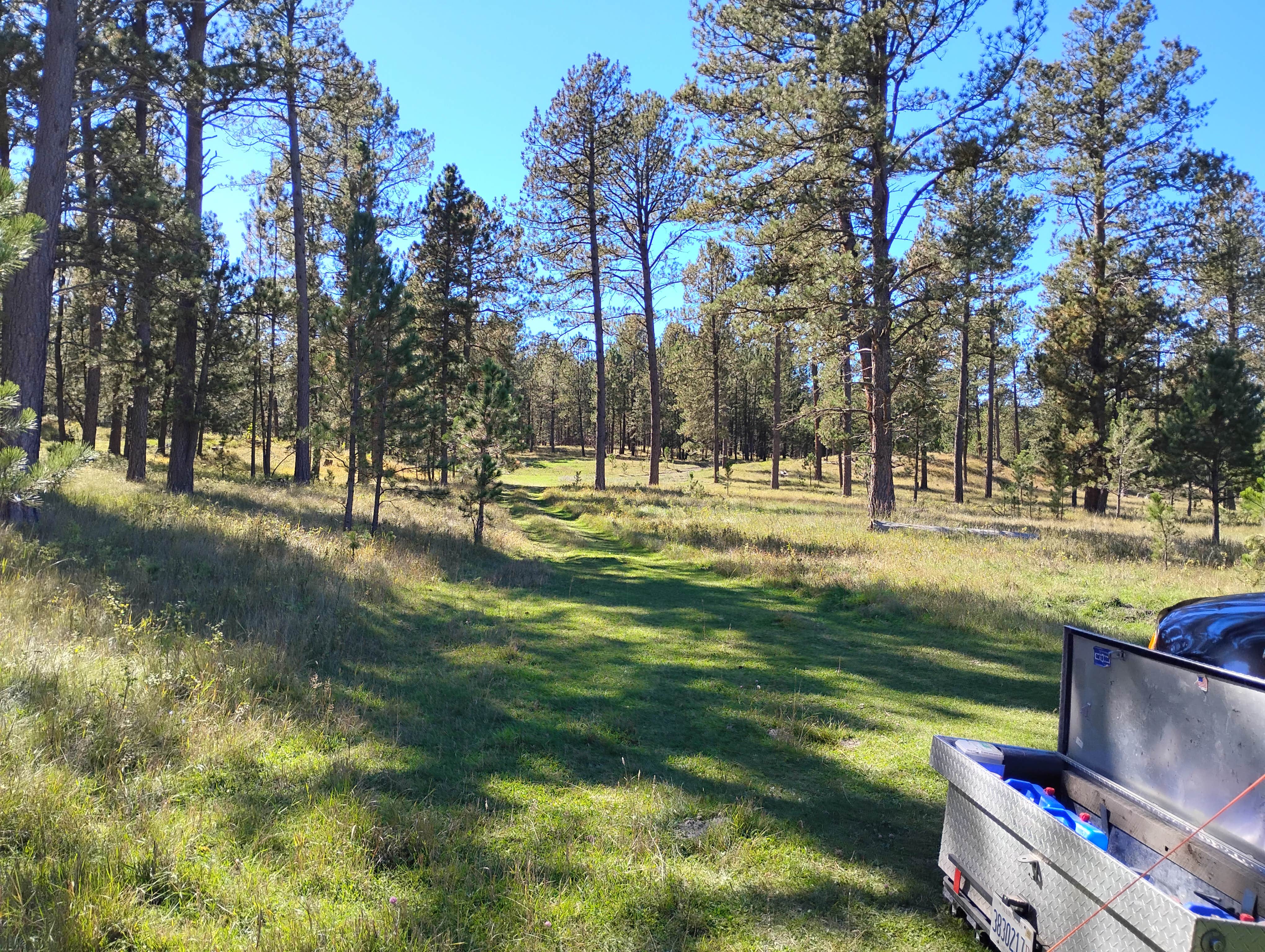 Camper-submitted photo at Kara T. Mason,TN near Custer, SD