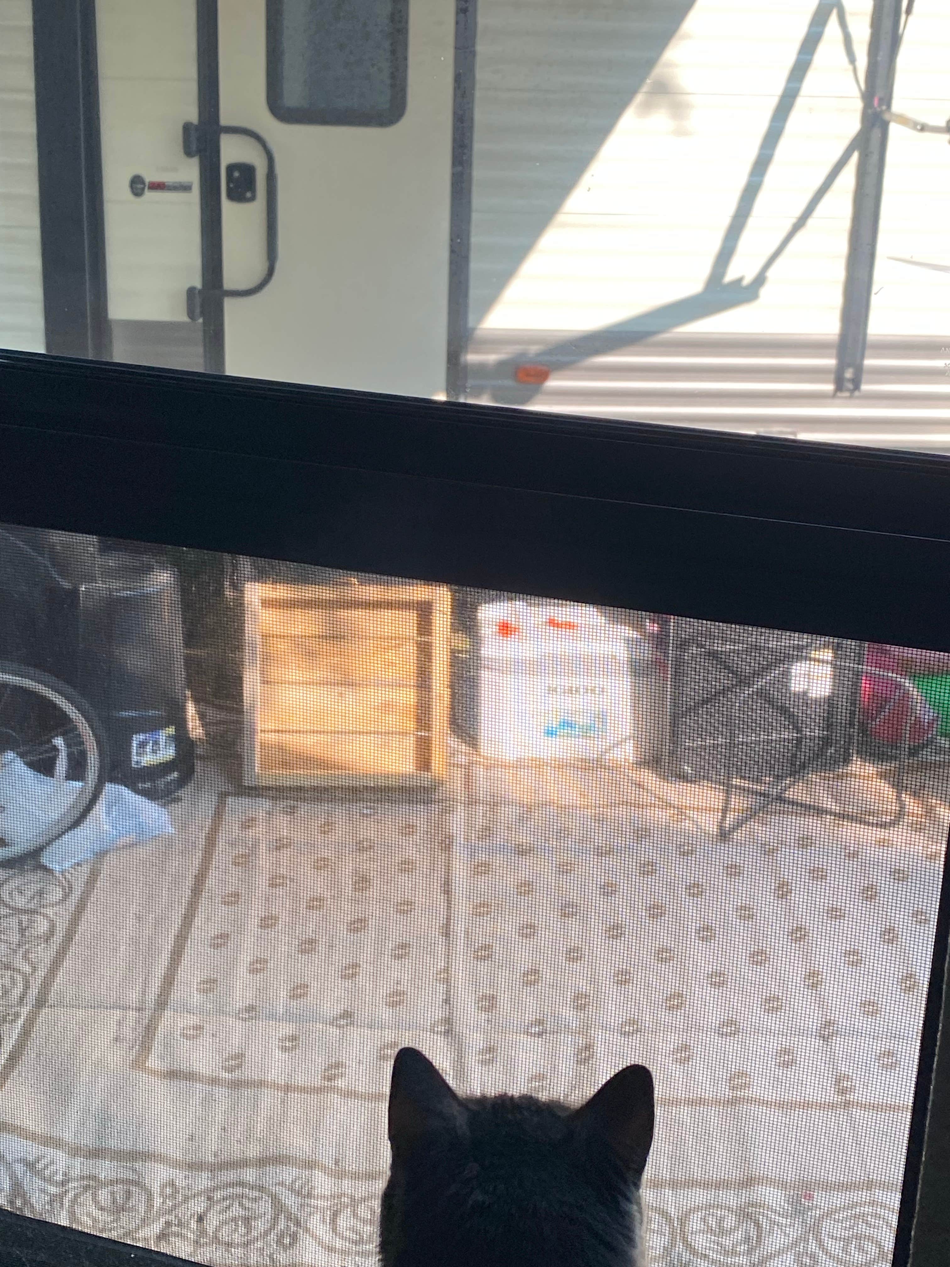 Camper-submitted photo at Katahdin Shadows Campground near Houlton, ME