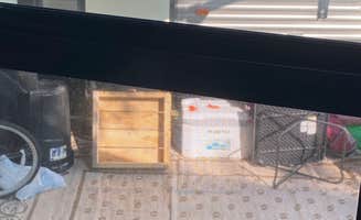 Ralph C.'s photo of camping with pets at Katahdin Shadows Campground near Stacyville, ME