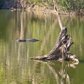 Review photo of Katherine Hannah park by Kevin W., April 11, 2026