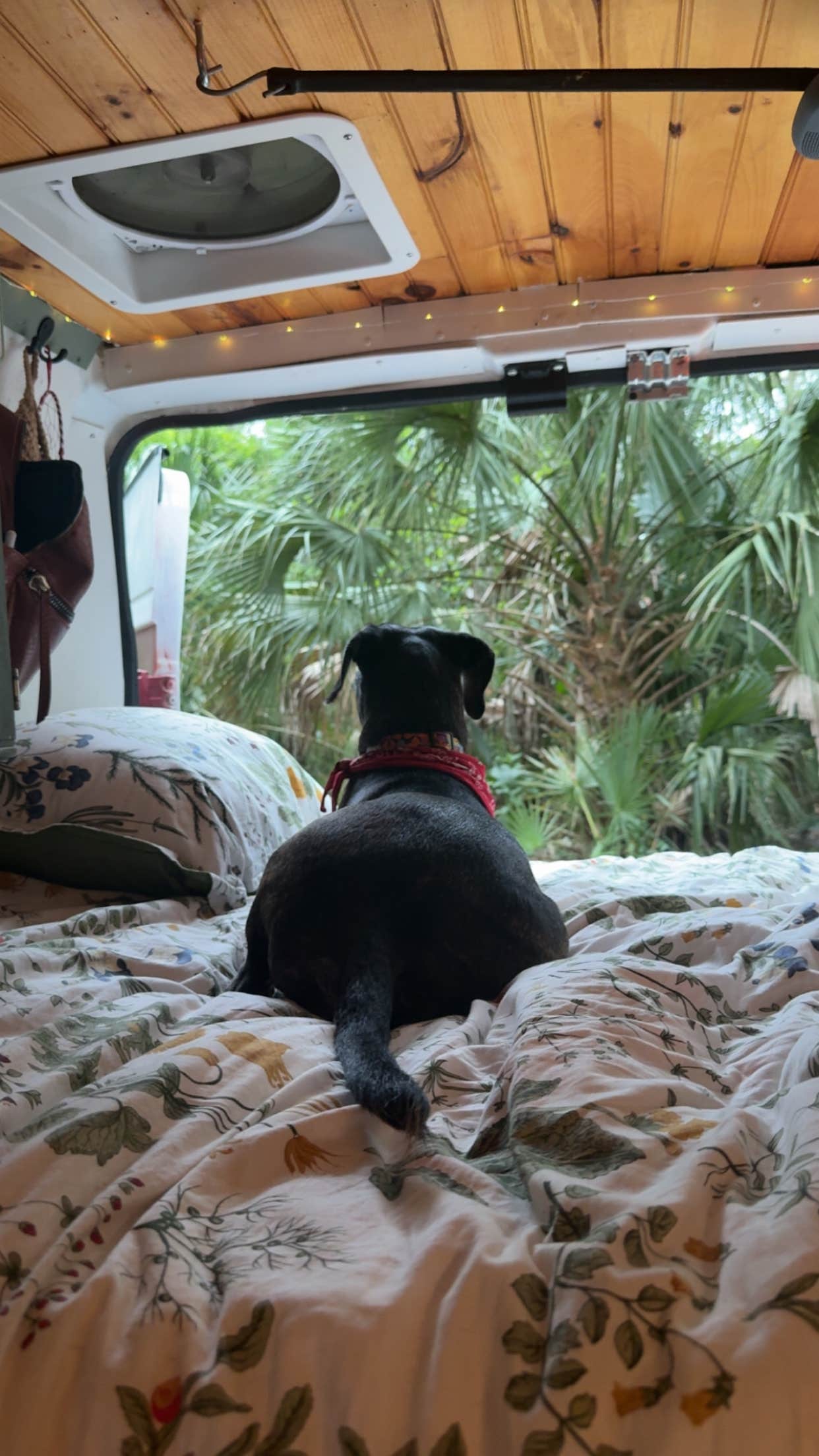 Beretta K.'s photo of glamping accommodations at Kathryn Abbey Hanna Park near Jacksonville, FL
