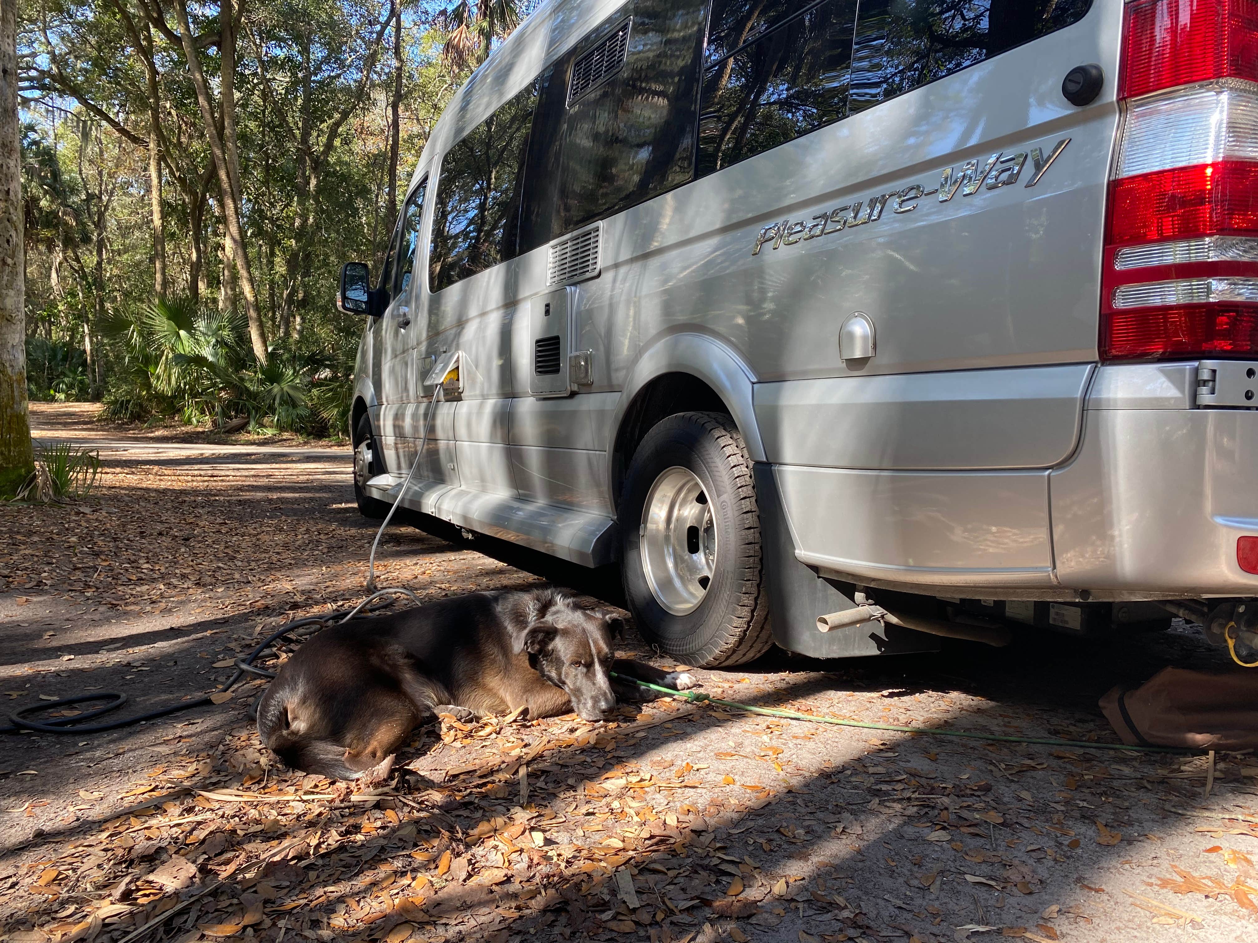 Kathy L.'s photo of camping with pets at Kathryn Abbey Hanna Park near Fernandina Beach, FL