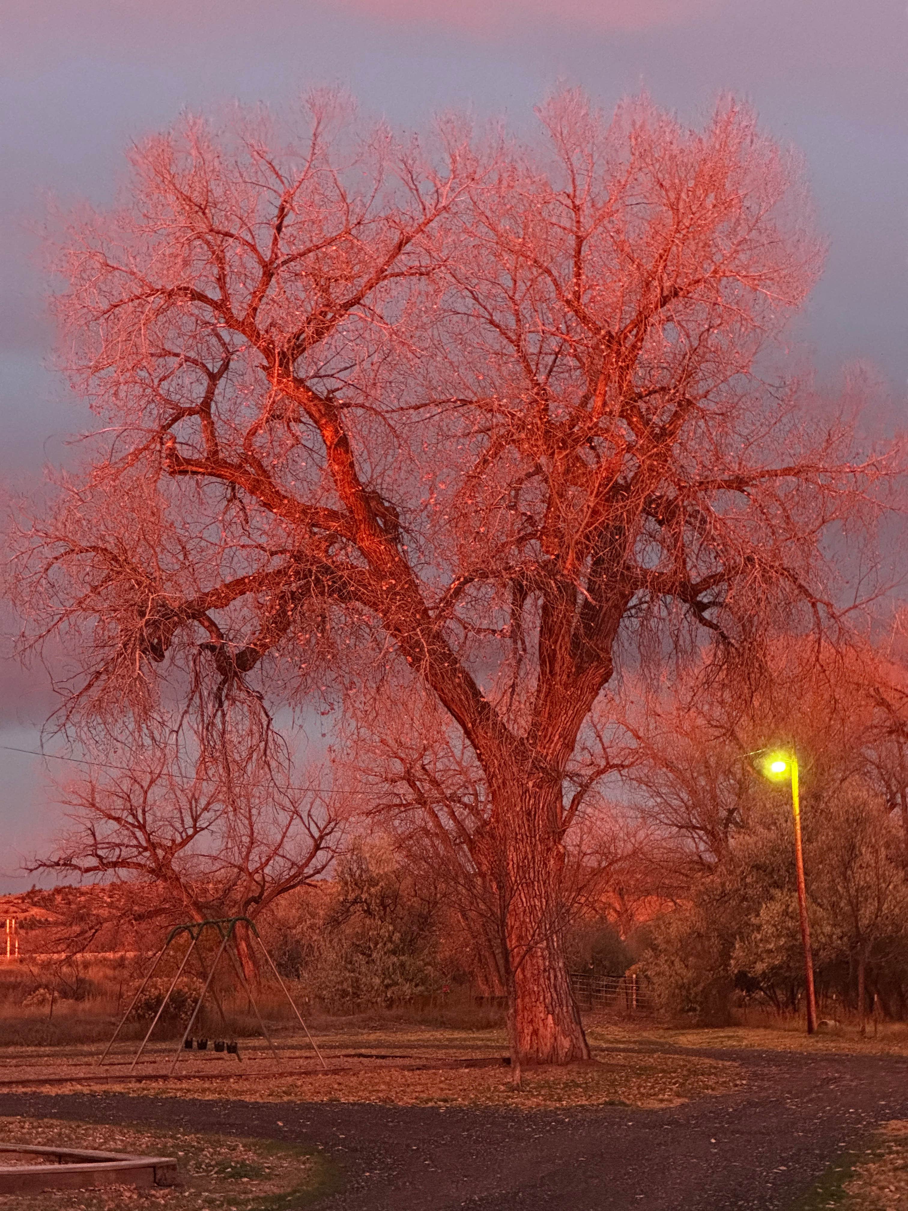 Camper submitted image from Kaycee City Park - 1