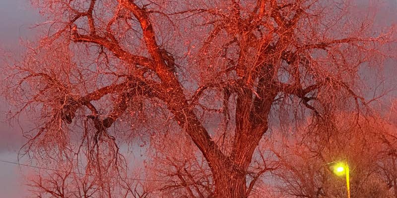 Camper submitted image from Kaycee City Park