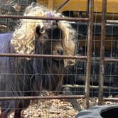 Review photo of Kaycee City Park by Patricia I., November 3, 2025