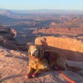 Review photo of Kayenta Campground — Dead Horse Point State Park by Peter B., October 4, 2026