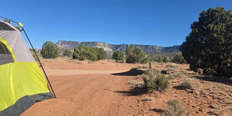 Camper submitted image from Kayenta Public Land
