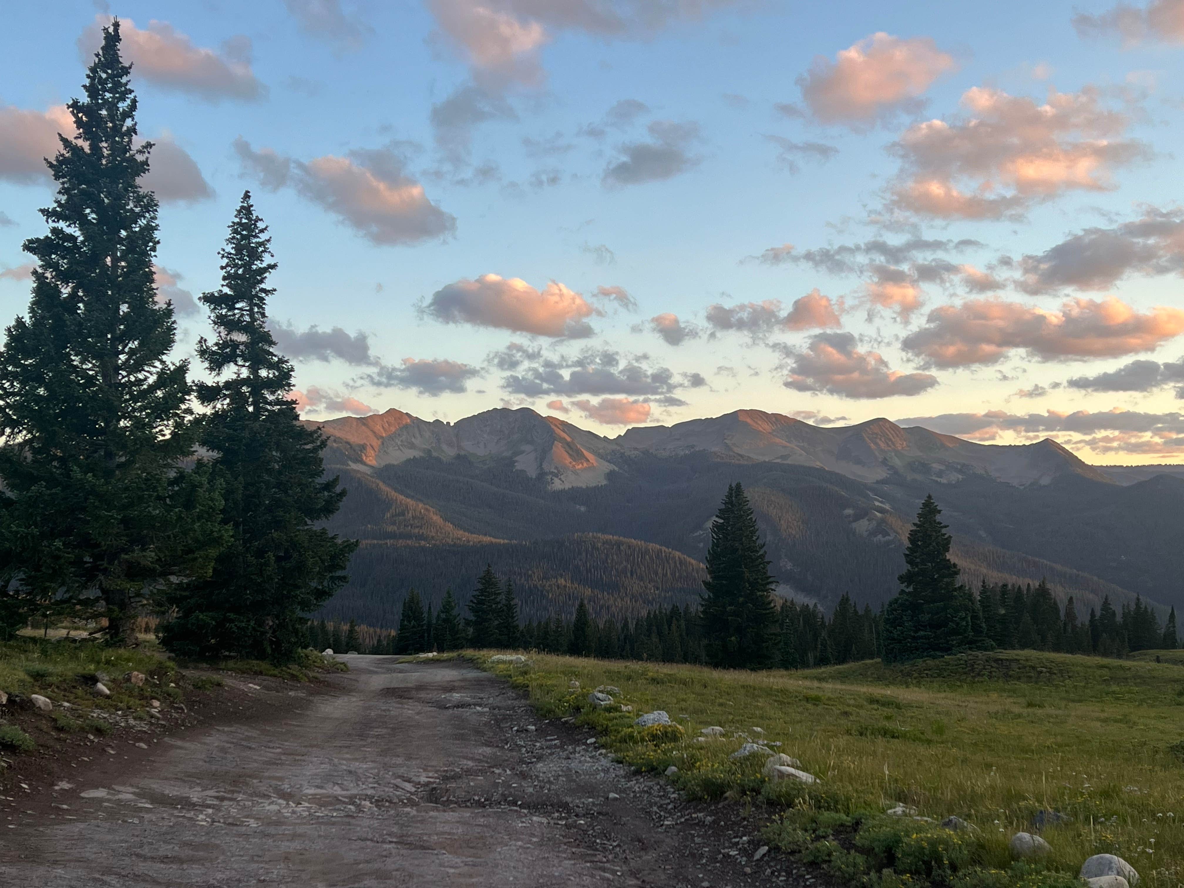 Camper submitted image from Kebler Pass Designated Dispersed - 3