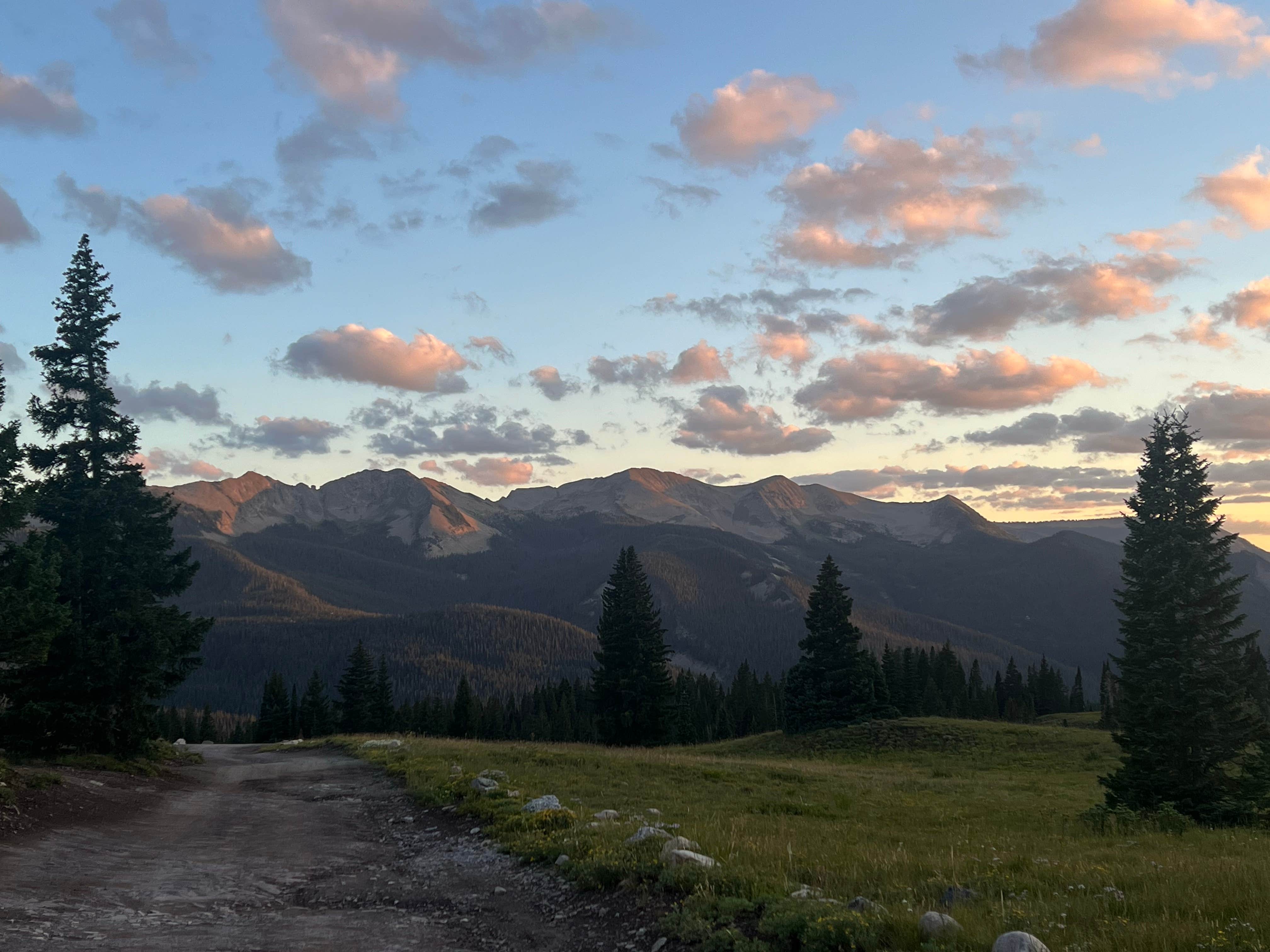 Camper submitted image from Kebler Pass Designated Dispersed - 5