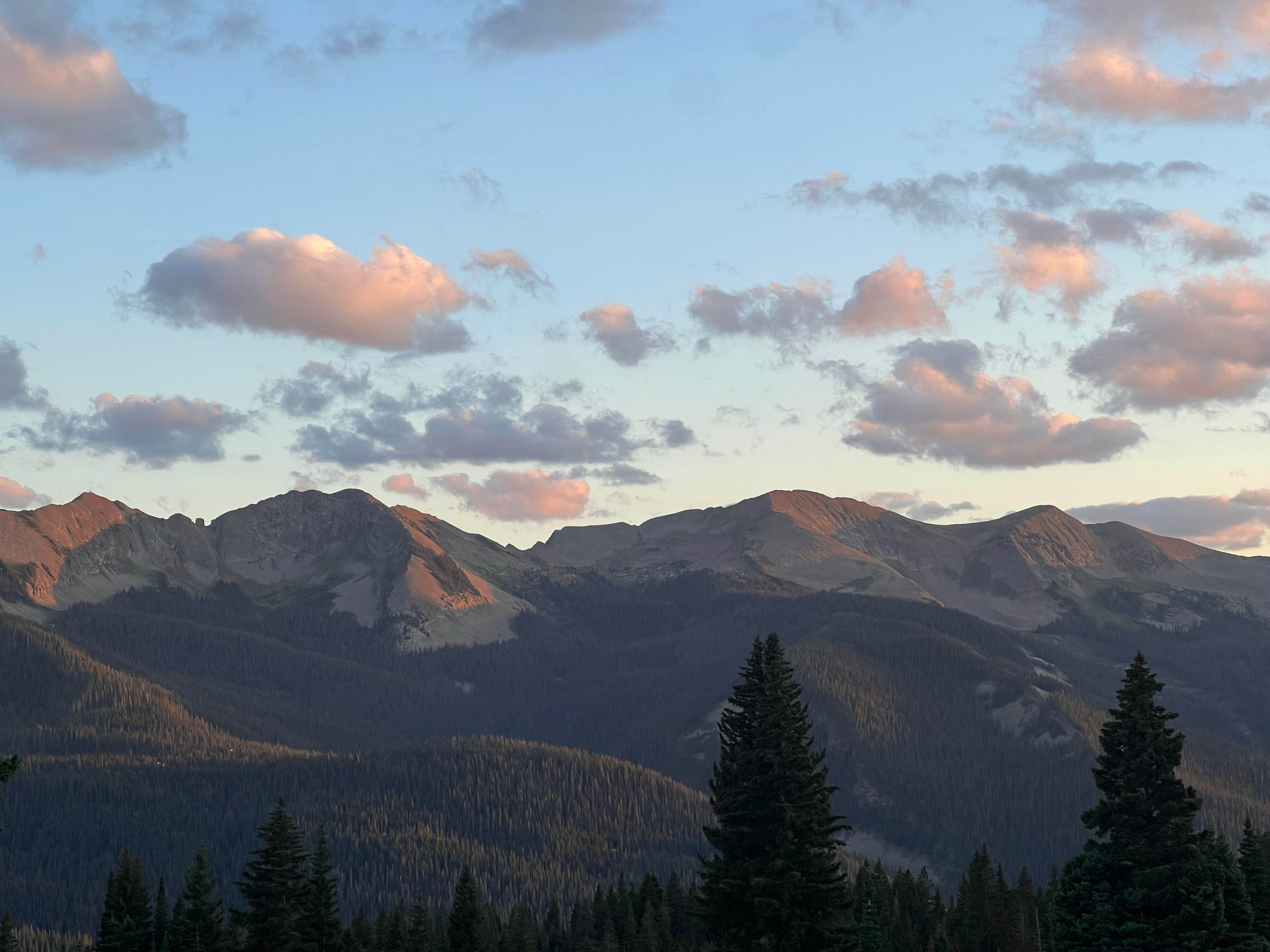 Melissa M.'s photo of a dispersed camping area at Kebler Pass Designated Dispersed - PERMANENTLY CLOSED near Gunnison, CO