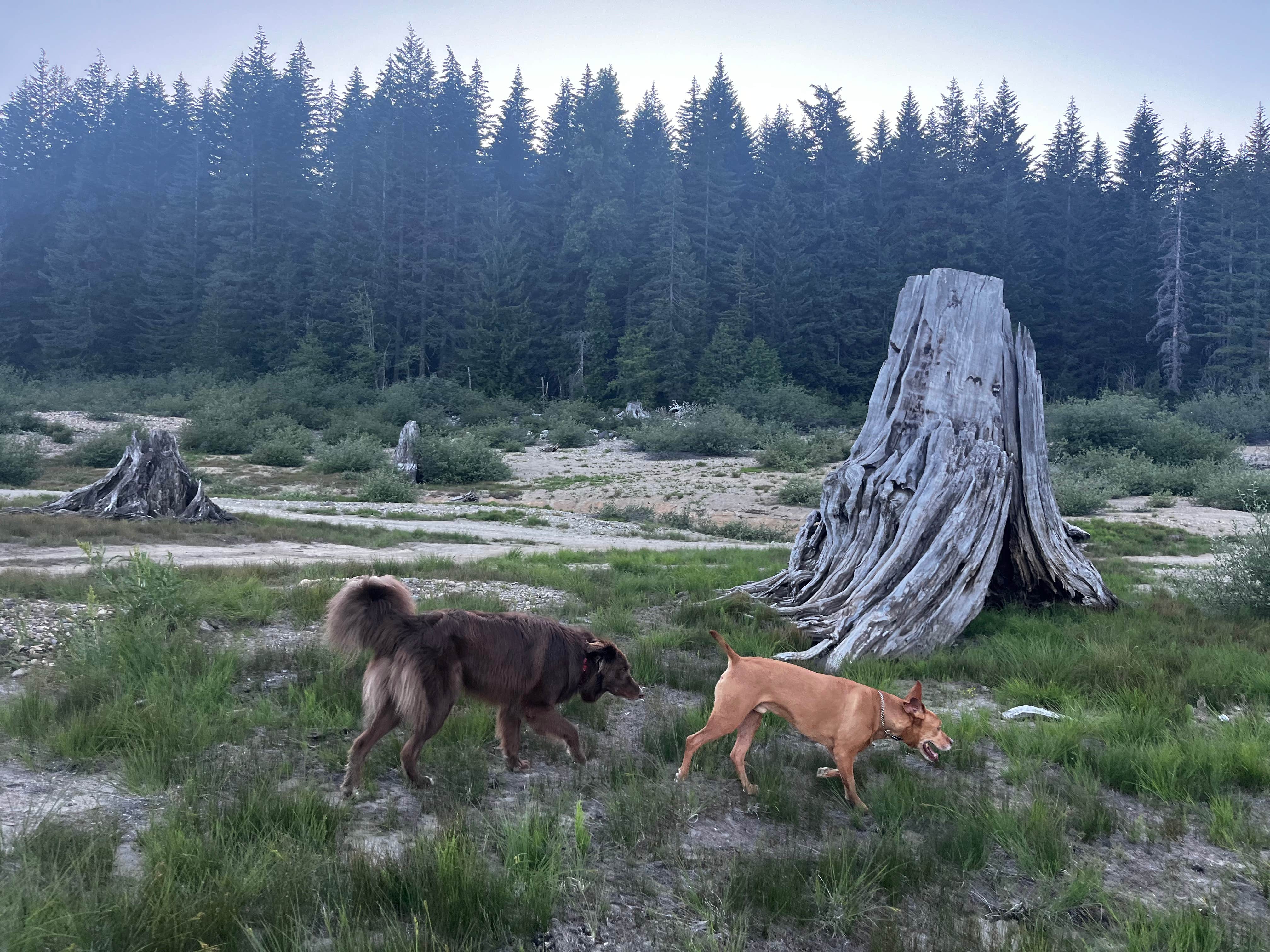 Camper-submitted photo at Keechelus Lake near Snoqualmie Pass, WA