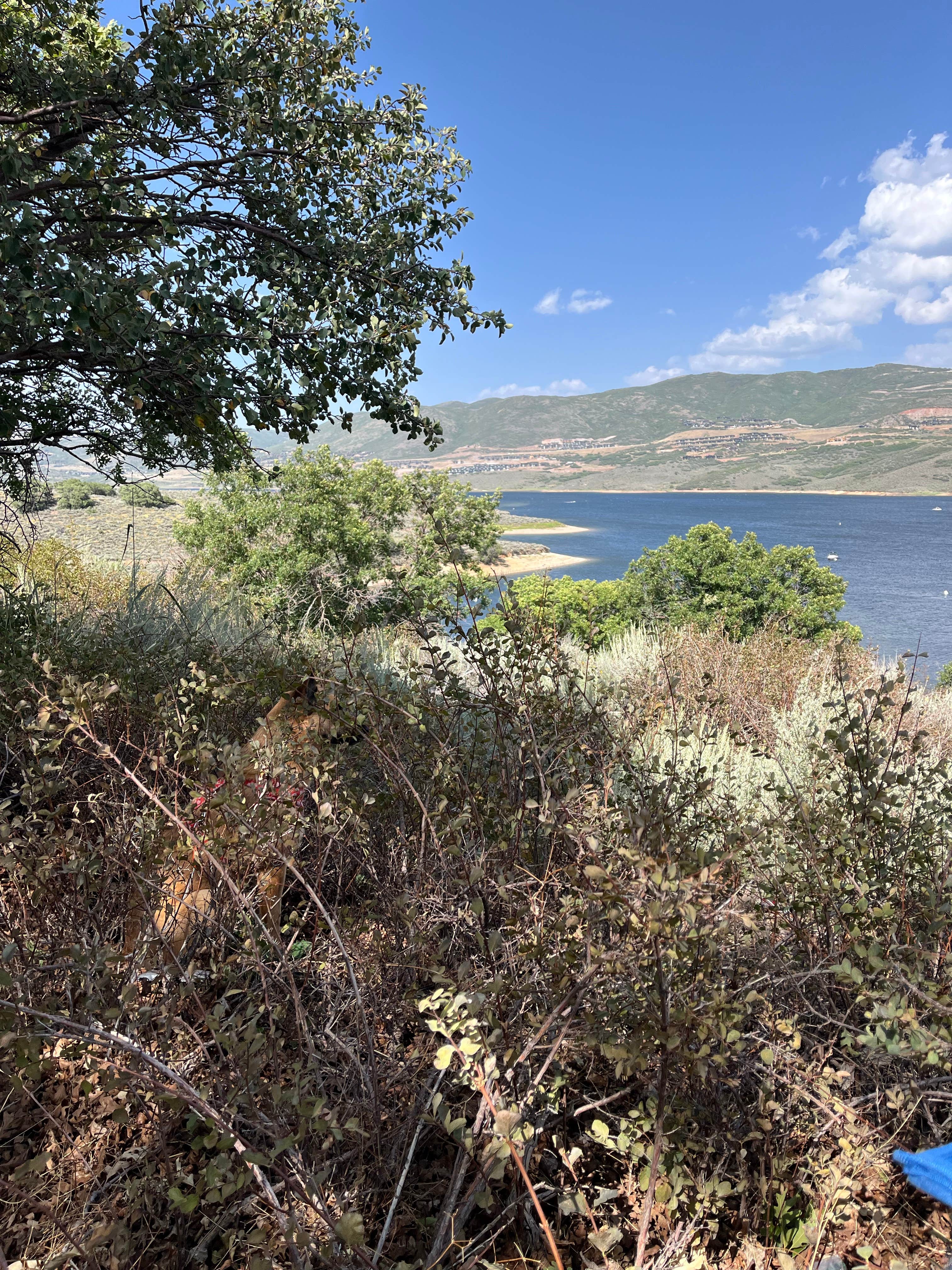 Camper submitted image from Keetley Campground — Jordanelle State Park - 2