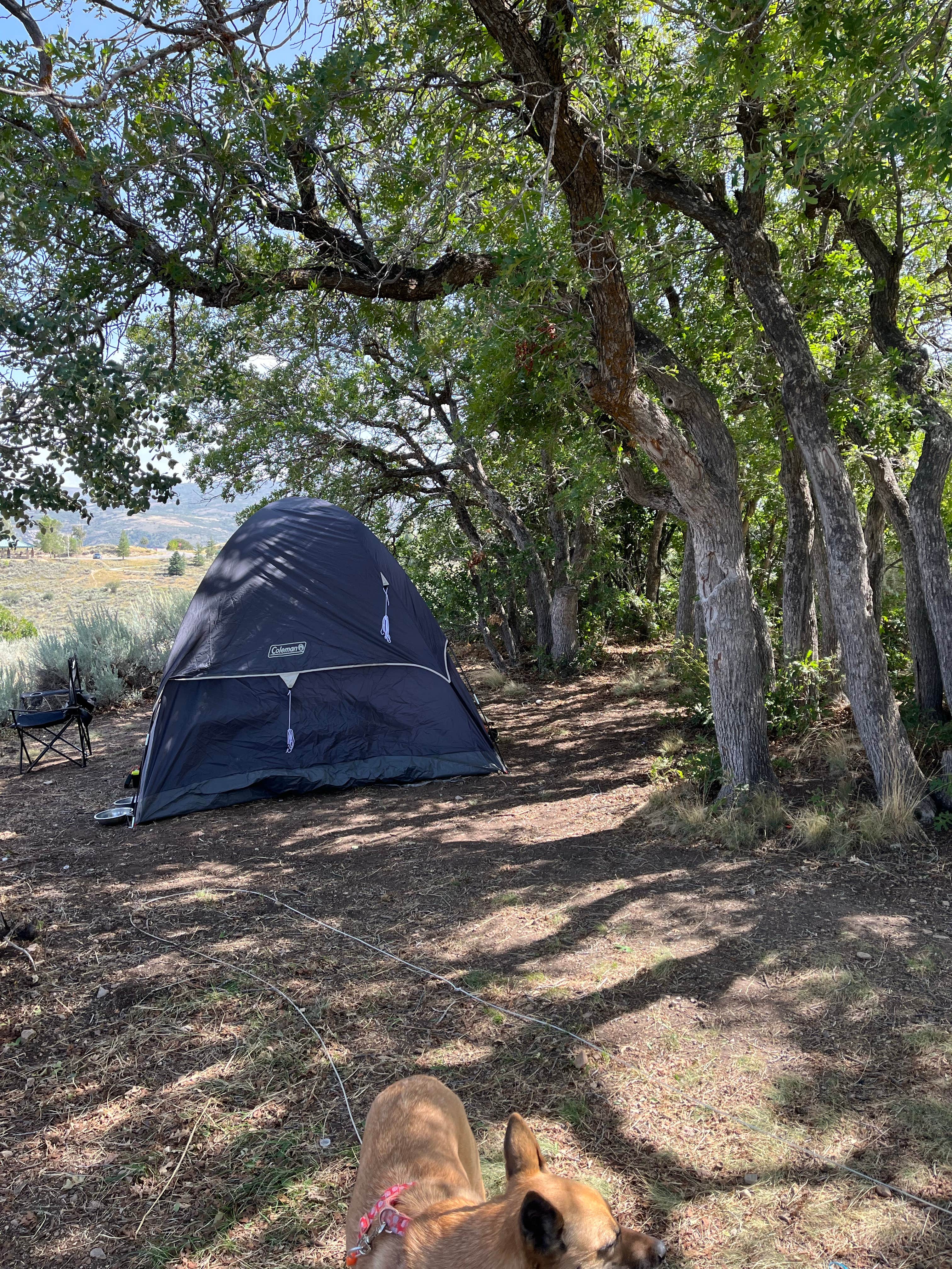 Camper submitted image from Keetley Campground — Jordanelle State Park - 1