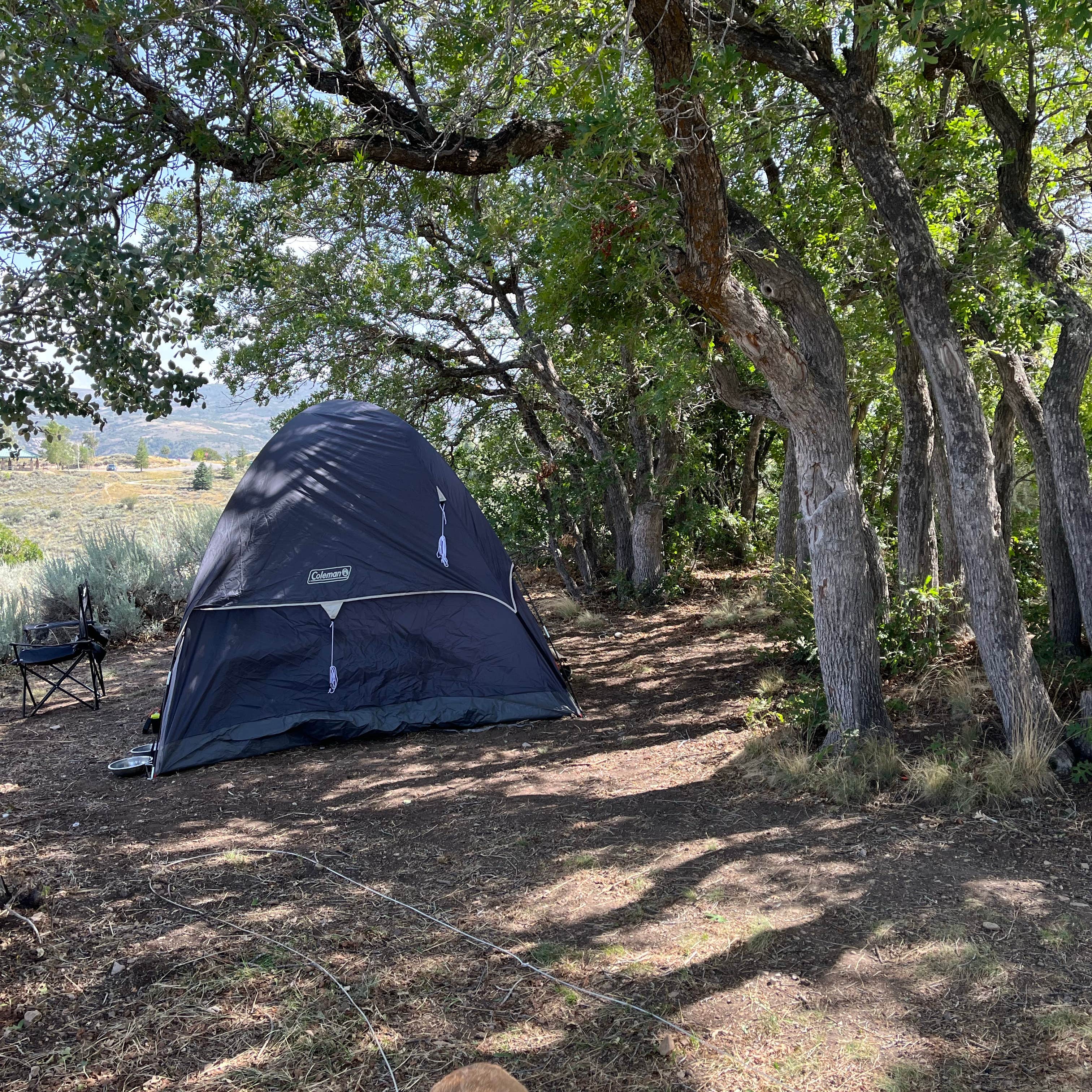 Jordan Eyle Keetley Campground โ Jordanelle State Park | Park City, Utah
