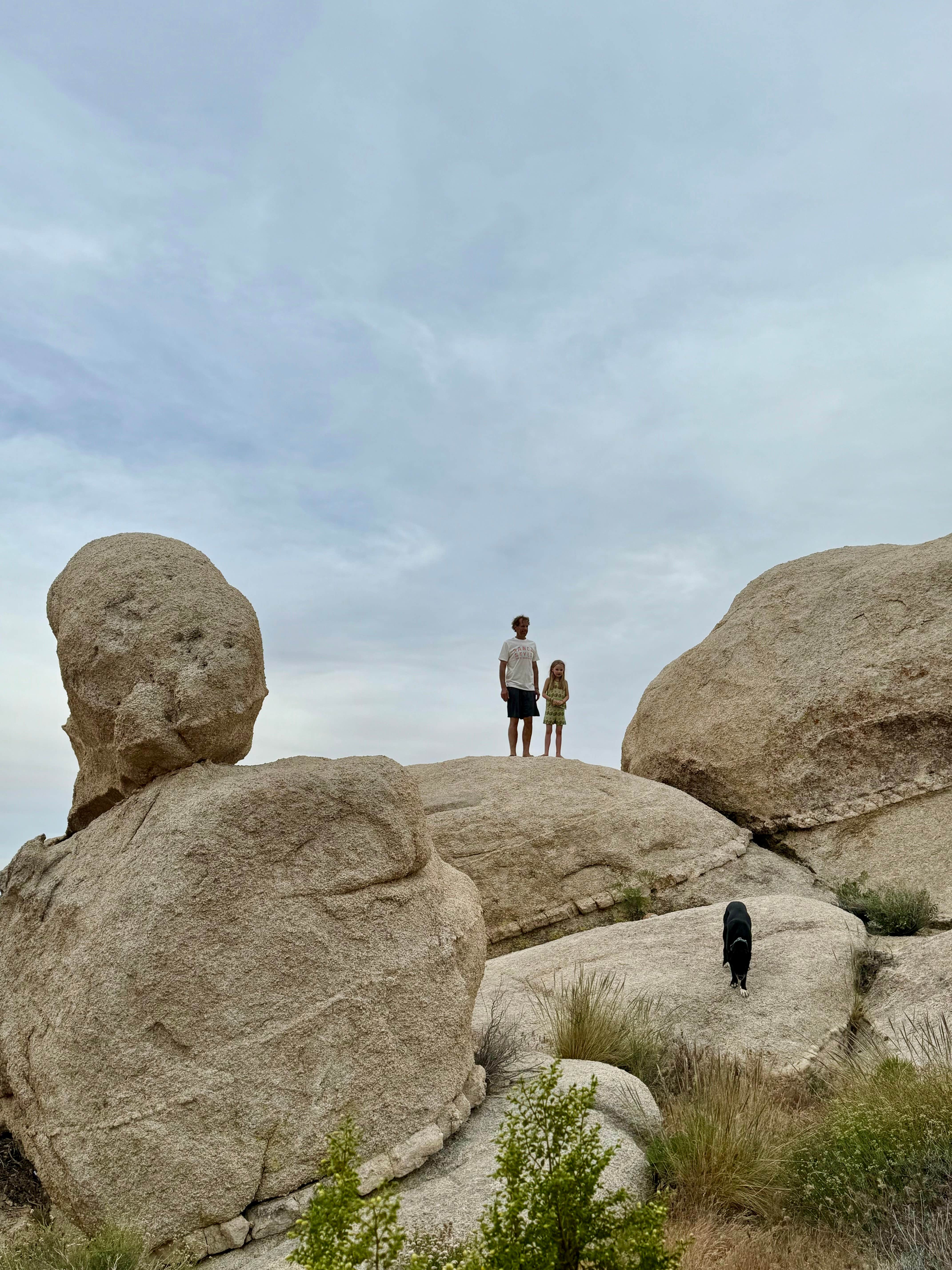 Josee D.'s photo of camping with pets at Kelbaker Boulders Dispersed — Mojave National Preserve near Mojave National Preserve
