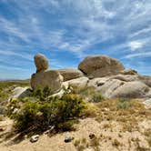 Review photo of Kelbaker Boulders Dispersed — Mojave National Preserve by Josee D., May 10, 2024