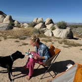 Review photo of Kelbaker Boulders Dispersed — Mojave National Preserve by Josee D., May 10, 2024