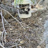 Review photo of Keller Peak Rd Yellow post #5 by angel R., August 10, 2026