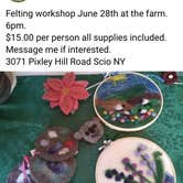 Review photo of Kellog's Alpaca Farm Campsite's by Janet R., December 31, 2025