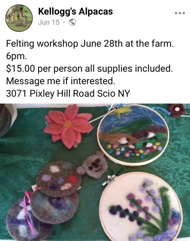 Camper submitted image from Kellog's Alpaca Farm Campsite's - 5