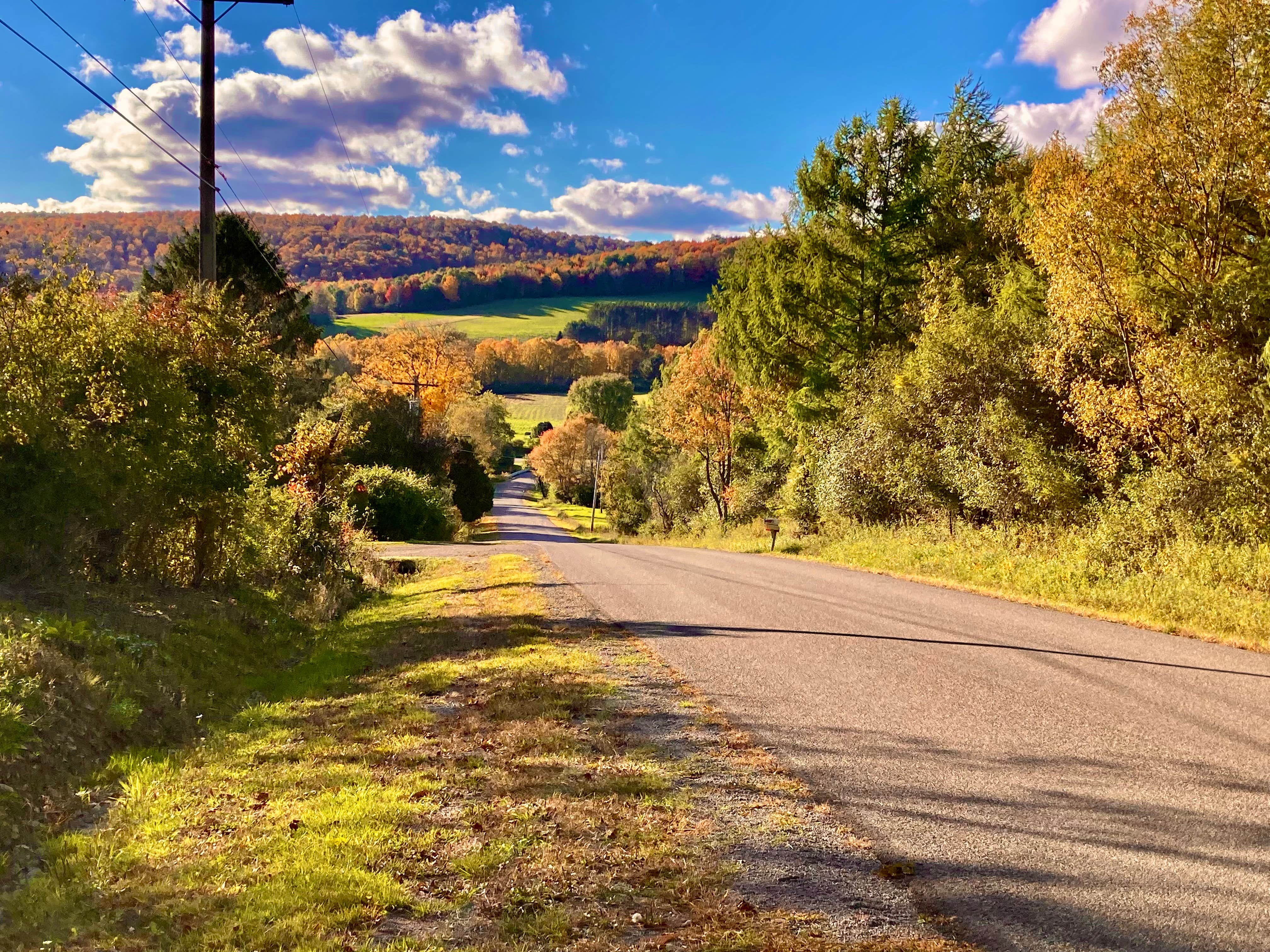 Camper submitted image from Kellog's Alpaca Farm Campsite's - 4