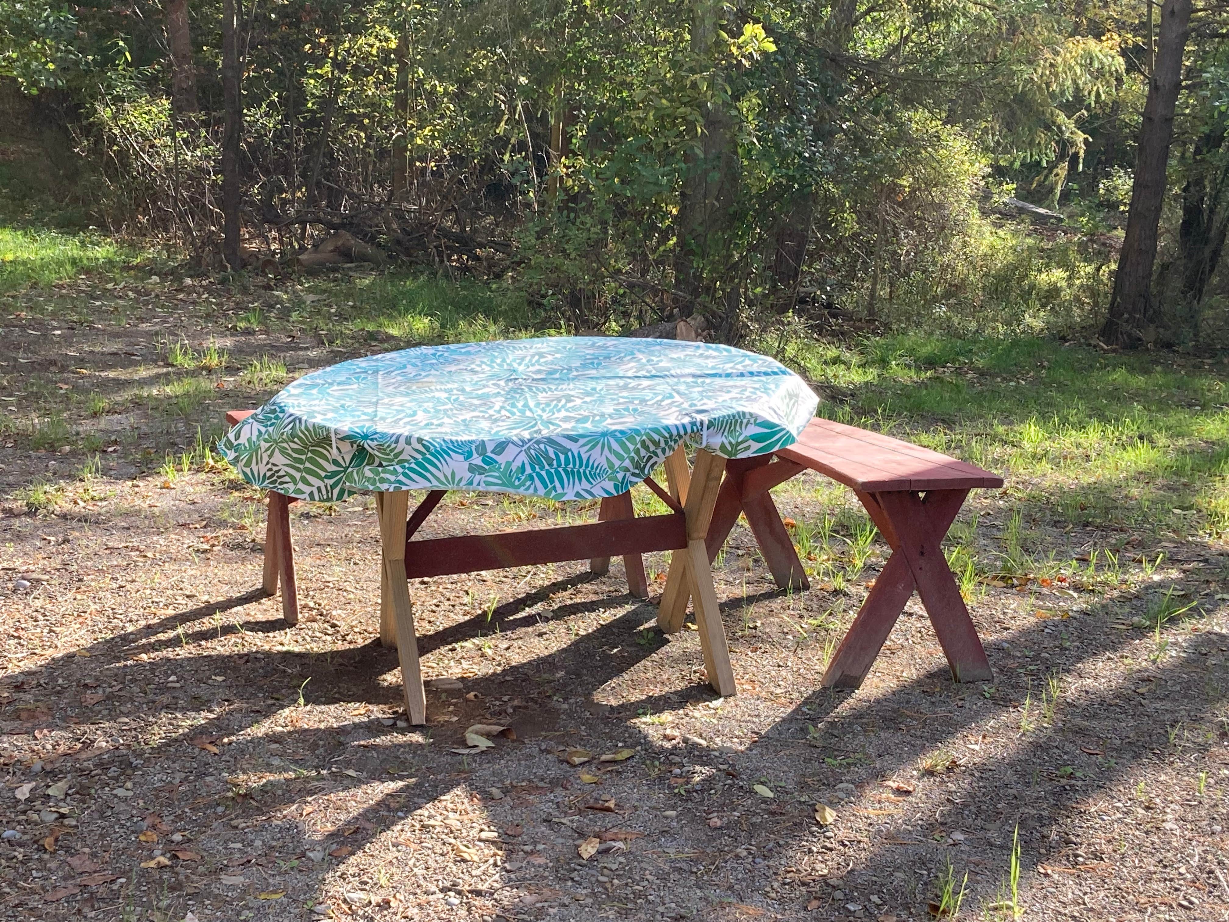 Camping near Kanakadea Park: Kellog's Alpaca Farm Campsite's, Wellsville, New York