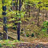 Review photo of Kellog's Alpaca Farm Campsite's by Janet R., December 31, 2025