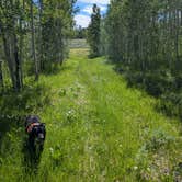 Review photo of Kelly Park FS Rd #747 Dispersed Camping by Greg L., July 23, 2021