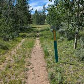 Review photo of Kelly Park FS Rd #747 Dispersed Camping by Greg L., July 23, 2021